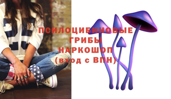 стаф Мегион