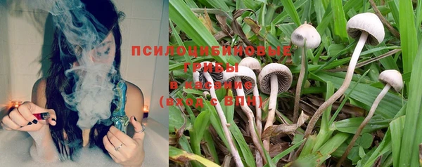 экстази Медвежьегорск